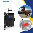 Pemf Magnetic Therapy Device
